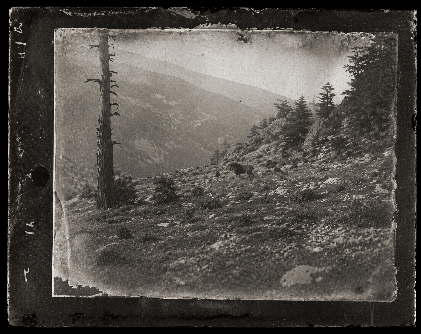 1916 French expedition photograph, Atlas Mountains