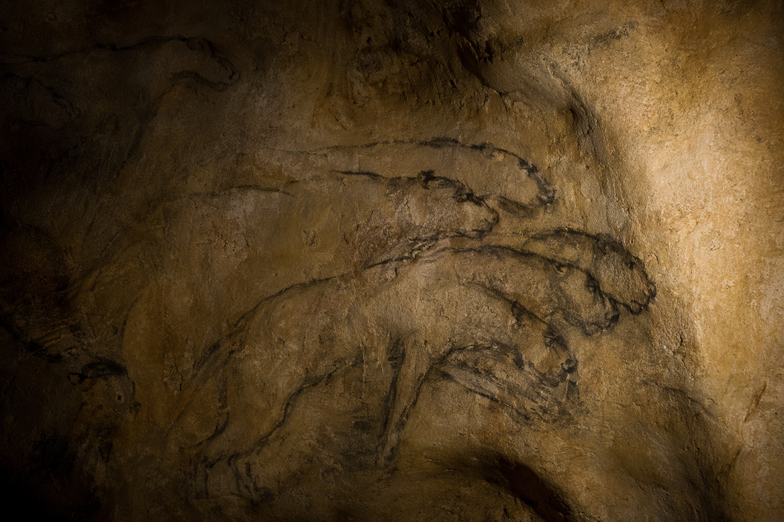 Cave lion engravings from Chauvet Cave, France, c. 36,000 BP