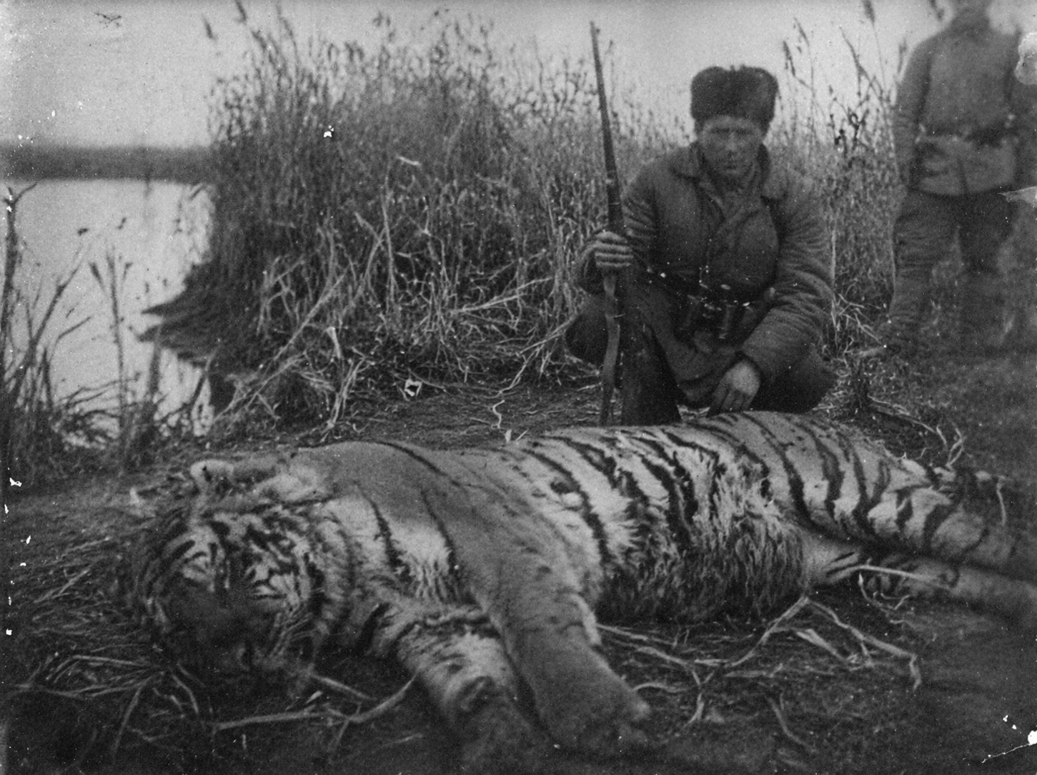 Soviet hunter posing with a killed Caspian tiger during eradication campaigns, circa 1940s